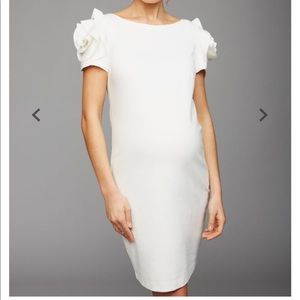 Pietro Brunelli Salisburgo Maternity Dress